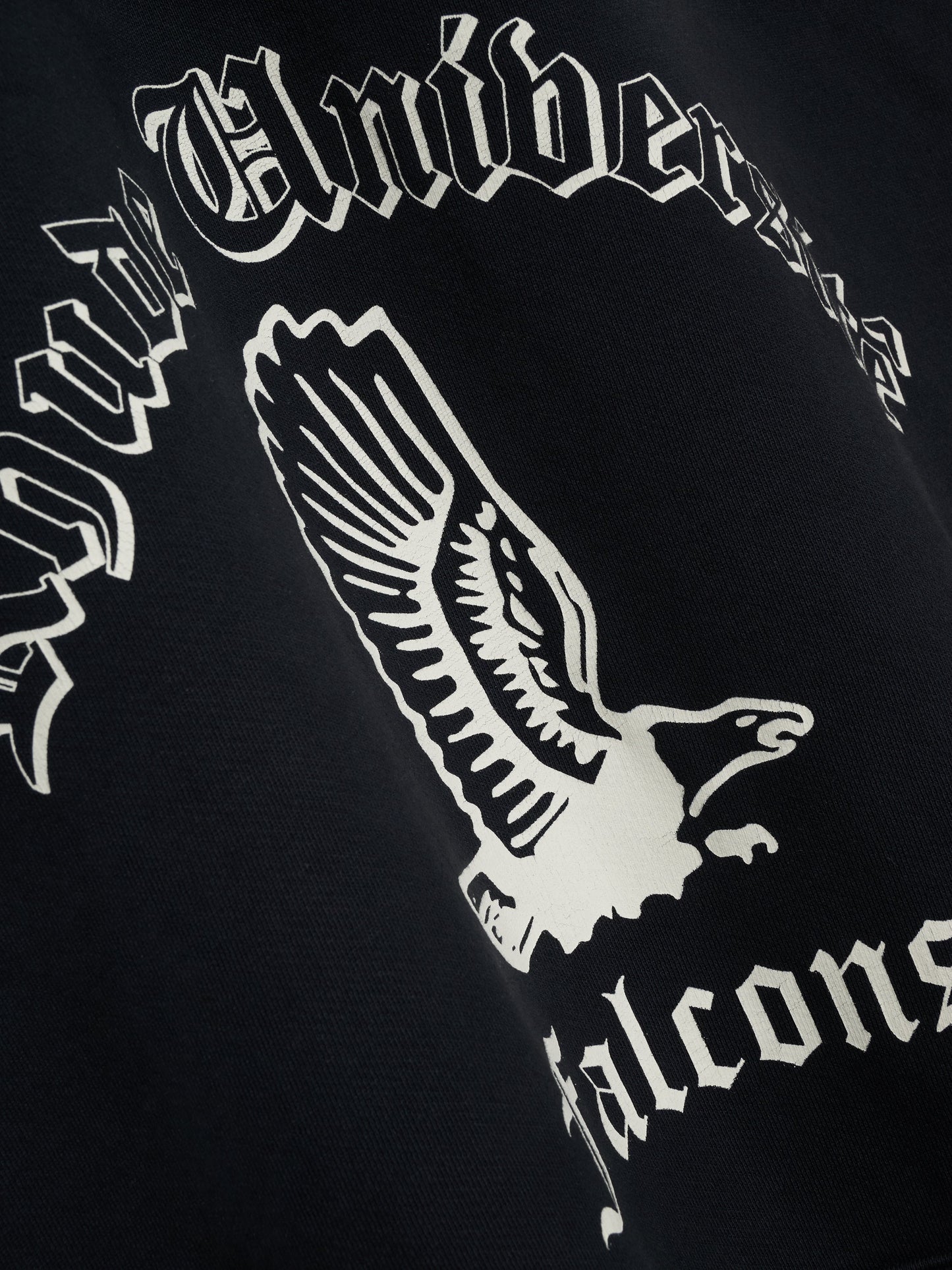 COLLEGIATE FALCONS HOODIE - VTG BLACK